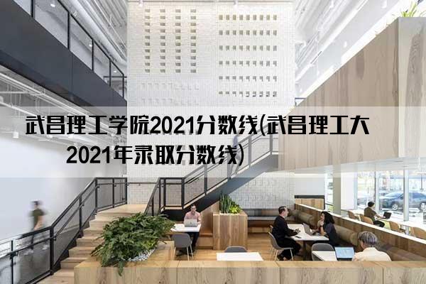 武昌理工学院2021分数线(武昌理工大学2021年录取分数线)