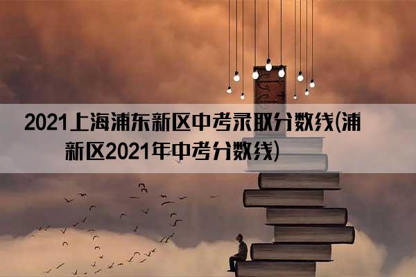 2021上海浦东新区中考录取分数线(浦东新区2021年中考分数线)